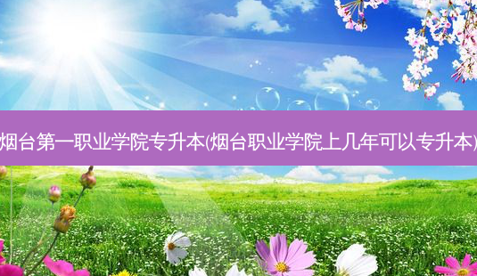 烟台之一职业学院专升本(烟台职业学院上几年可以专升本)-第1张图片-天智网 烟台之一职业学院专升本(烟台职业学院上几年可以专升本)-第1张图片-天智网