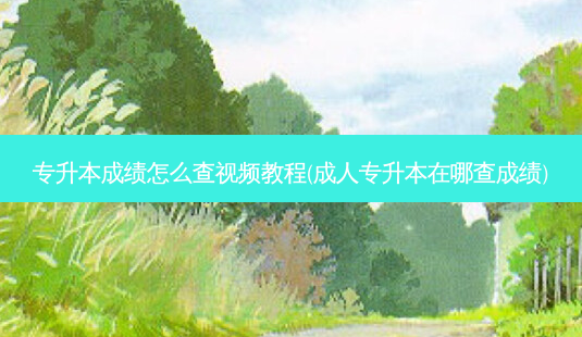 专升本成绩怎么查视频教程(成人专升本在哪查成绩)-第1张图片-天智网 专升本成绩怎么查视频教程(成人专升本在哪查成绩)-第1张图片-天智网