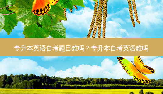 专升本英语自考题目难吗?专升本自考英语难吗-第1张图片-天智网 专升本英语自考题目难吗?专升本自考英语难吗-第1张图片-天智网
