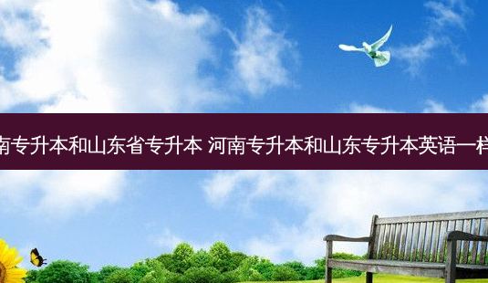 河南专升本和山东省专升本 河南专升本和山东专升本英语一样吗-第1张图片-汇成专升本网