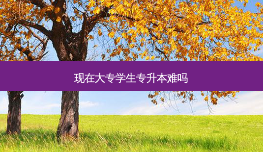 现在大专学生专升本难吗-第1张图片-天智网 现在大专学生专升本难吗-第1张图片-天智网