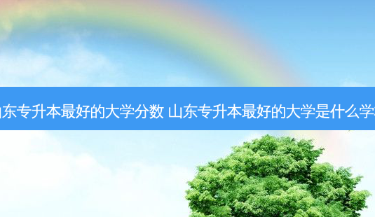 山东专升本 *** 好的大学分数 山东专升本 *** 好的大学是什么学校-第1张图片-天智网 山东专升本 *** 好的大学分数 山东专升本 *** 好的大学是什么学校-第1张图片-天智网