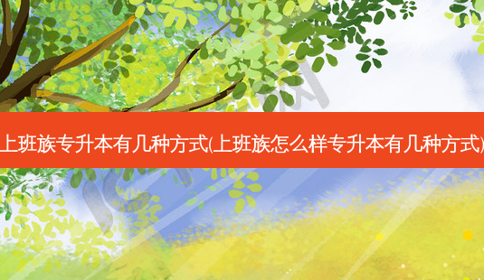 上班族专升本有几种方式(上班族怎么样专升本有几种方式)-第1张图片-天智网 上班族专升本有几种方式(上班族怎么样专升本有几种方式)-第1张图片-天智网