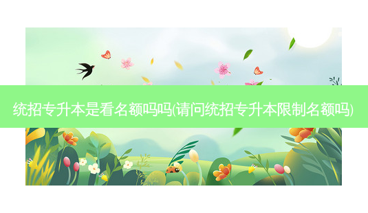 统招专升本是看名额吗吗(请问统招专升本限制名额吗)-第1张图片-天智网 统招专升本是看名额吗吗(请问统招专升本限制名额吗)-第1张图片-天智网