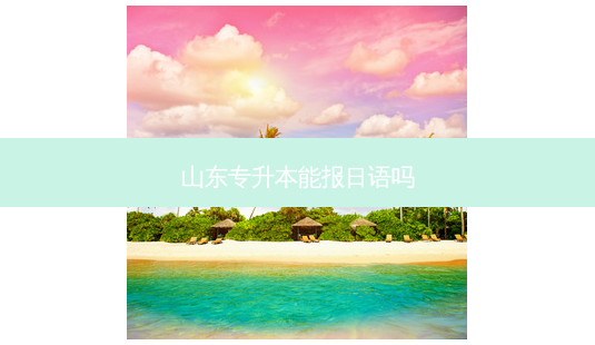 山东专升本能报日语吗-第1张图片-天智网 山东专升本能报日语吗-第1张图片-天智网