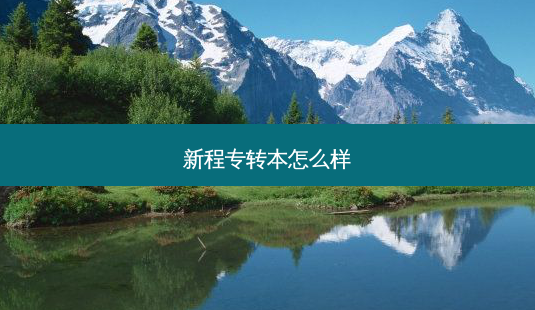 新程专转本怎么样-第1张图片-天智网 新程专转本怎么样-第1张图片-天智网