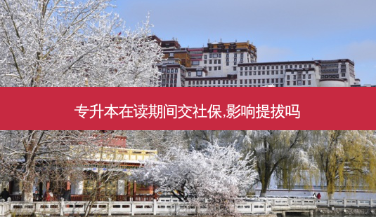 专升本在读期间交社保,影响提拔吗-第1张图片-天智网 专升本在读期间交社保,影响提拔吗-第1张图片-天智网