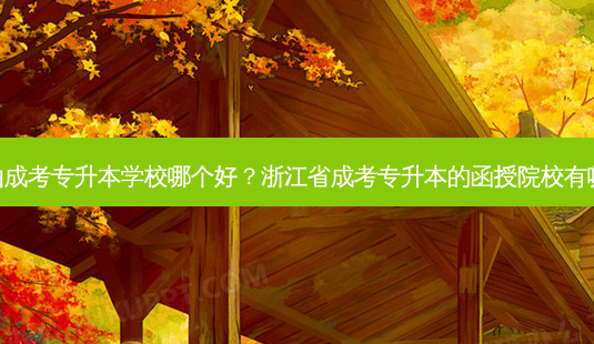 萧山成考专升本学校哪个好?浙江省成考专升本的函授院校有哪些-第1张图片-天智网 萧山成考专升本学校哪个好?浙江省成考专升本的函授院校有哪些-第1张图片-天智网