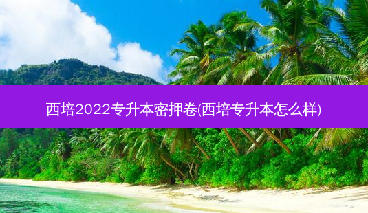 西培2022专升本密押卷(西培专升本怎么样)-第1张图片-天智网 西培2022专升本密押卷(西培专升本怎么样)-第1张图片-天智网