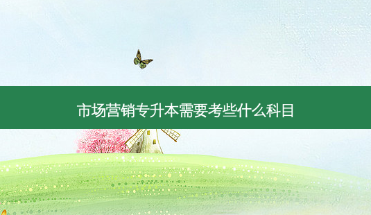 市场营销专升本需要考些什么科目-第1张图片-天智网 市场营销专升本需要考些什么科目-第1张图片-天智网