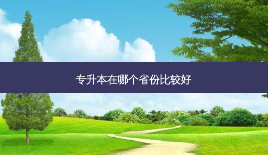 专升本在哪个省份比较好-第1张图片-天智网 专升本在哪个省份比较好-第1张图片-天智网