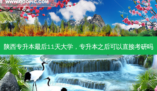 陕西专升本 *** 后11天大学,专升本之后可以直接考研吗-第1张图片-天智网 陕西专升本 *** 后11天大学,专升本之后可以直接考研吗-第1张图片-天智网