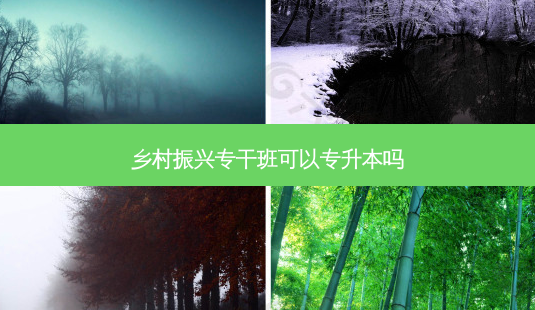 乡村振兴专干班可以专升本吗-第1张图片-天智网 乡村振兴专干班可以专升本吗-第1张图片-天智网