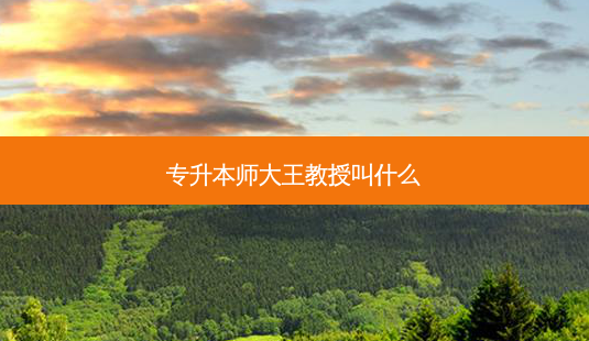 专升本师大王教授叫什么-第1张图片-天智网 专升本师大王教授叫什么-第1张图片-天智网