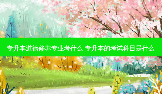 专升本道德修养专业考什么 专升本的考试科目是什么-第1张图片-天智网 专升本道德修养专业考什么 专升本的考试科目是什么-第1张图片-天智网