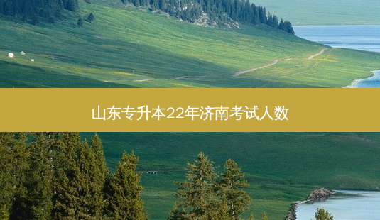 山东专升本22年济南考试人数-第1张图片-天智网 山东专升本22年济南考试人数-第1张图片-天智网