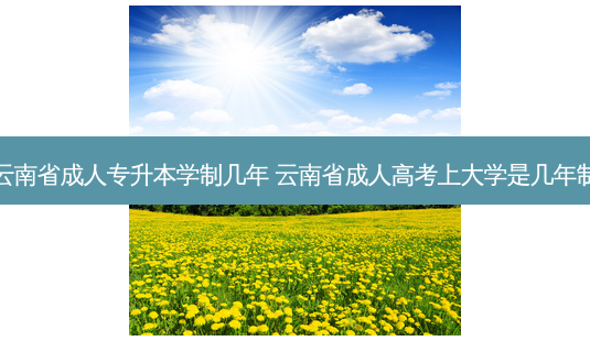云南省成人专升本学制几年 云南省成人高考上大学是几年制-第1张图片-天智网 云南省成人专升本学制几年 云南省成人高考上大学是几年制-第1张图片-天智网