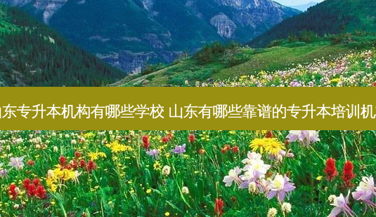 山东专升本机构有哪些学校 山东有哪些靠谱的专升本培训机构-第1张图片-天智网 山东专升本机构有哪些学校 山东有哪些靠谱的专升本培训机构-第1张图片-天智网