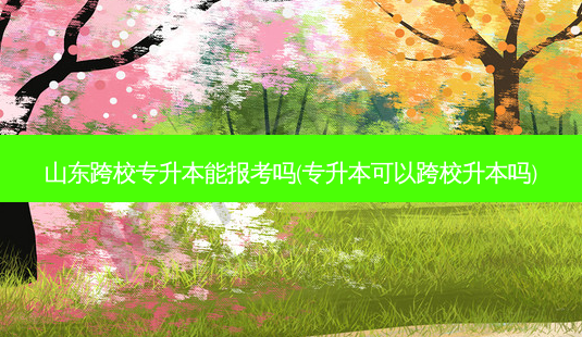 山东跨校专升本能报考吗(专升本可以跨校升本吗)-第1张图片-天智网 山东跨校专升本能报考吗(专升本可以跨校升本吗)-第1张图片-天智网
