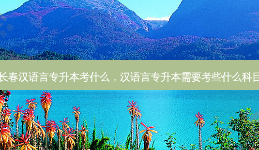 长春汉语言专升本考什么,汉语言专升本需要考些什么科目-第1张图片-天智网 长春汉语言专升本考什么,汉语言专升本需要考些什么科目-第1张图片-天智网