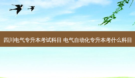 四川电气专升本考试科目 电气自动化专升本考什么科目-第1张图片-天智网 四川电气专升本考试科目 电气自动化专升本考什么科目-第1张图片-天智网