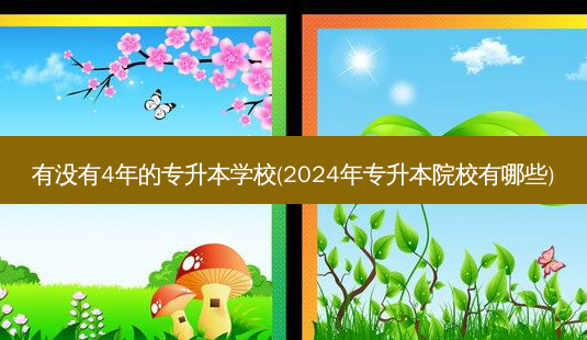 有没有4年的专升本学校(2024年专升本院校有哪些)-第1张图片-天智网 有没有4年的专升本学校(2024年专升本院校有哪些)-第1张图片-天智网