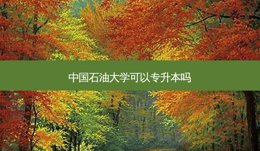 中国石油大学可以专升本吗-第1张图片-天智网 中国石油大学可以专升本吗-第1张图片-天智网