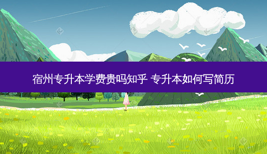 宿州专升本学费贵吗知乎 专升本如何写简历-第1张图片-天智网 宿州专升本学费贵吗知乎 专升本如何写简历-第1张图片-天智网