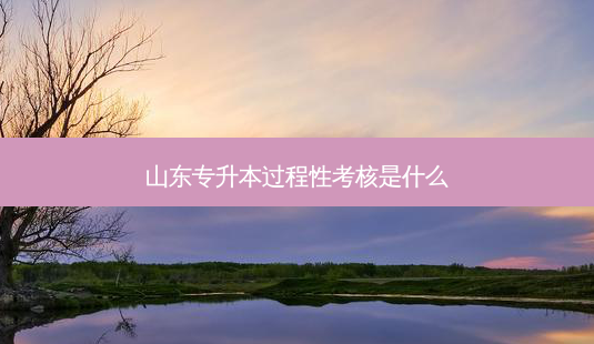 山东专升本过程性考核是什么-第1张图片-天智网 山东专升本过程性考核是什么-第1张图片-天智网