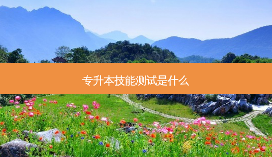 专升本技能测试是什么-第1张图片-天智网 专升本技能测试是什么-第1张图片-天智网