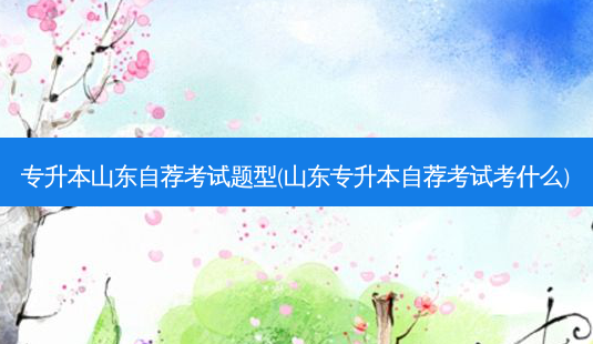 专升本山东自荐考试题型(山东专升本自荐考试考什么)-第1张图片-天智网 专升本山东自荐考试题型(山东专升本自荐考试考什么)-第1张图片-天智网