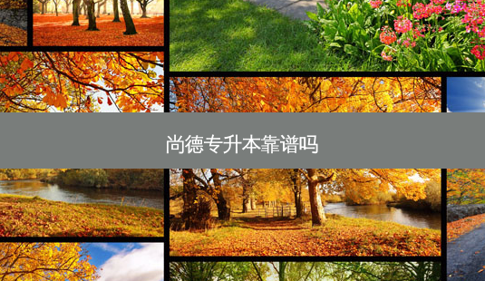 尚德专升本靠谱吗-第1张图片-天智网 尚德专升本靠谱吗-第1张图片-天智网