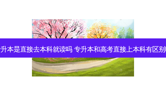 专升本是直接去本科就读吗 专升本和高考直接上本科有区别吗-第1张图片-天智网 专升本是直接去本科就读吗 专升本和高考直接上本科有区别吗-第1张图片-天智网