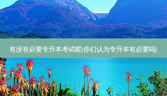 有没有必要专升本考试呢(你们认为专升本有必要吗)-第1张图片-天智网 有没有必要专升本考试呢(你们认为专升本有必要吗)-第1张图片-天智网