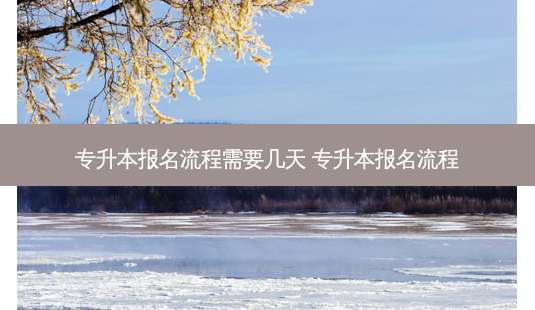专升本报名流程需要几天 专升本报名流程-第1张图片-天智网 专升本报名流程需要几天 专升本报名流程-第1张图片-天智网