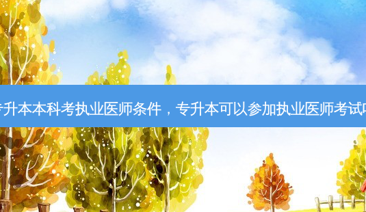 专升本本科考执业医师条件,专升本可以参加执业医师考试吗-第1张图片-天智网 专升本本科考执业医师条件,专升本可以参加执业医师考试吗-第1张图片-天智网