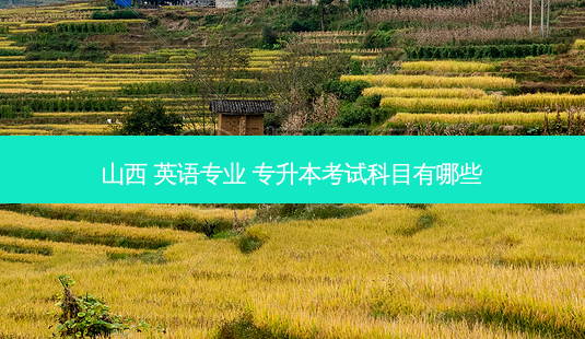山西 英语专业 专升本考试科目有哪些-第1张图片-天智网 山西 英语专业 专升本考试科目有哪些-第1张图片-天智网