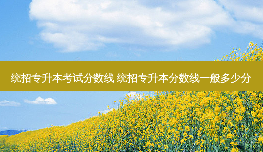统招专升本考试分数线 统招专升本分数线一般多少分-第1张图片-天智网 统招专升本考试分数线 统招专升本分数线一般多少分-第1张图片-天智网