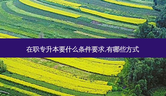 在职专升本要什么条件要求,有哪些方式-第1张图片-天智网 在职专升本要什么条件要求,有哪些方式-第1张图片-天智网