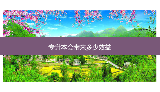 专升本会带来多少效益-第1张图片-天智网 专升本会带来多少效益-第1张图片-天智网