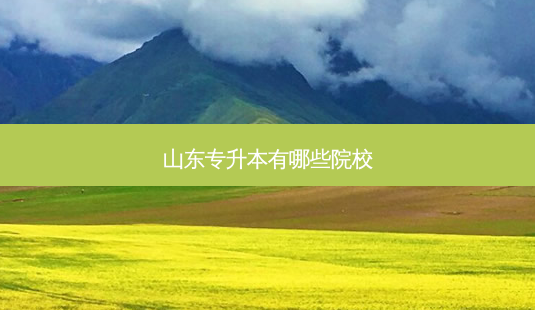 山东专升本有哪些院校-第1张图片-天智网 山东专升本有哪些院校-第1张图片-天智网