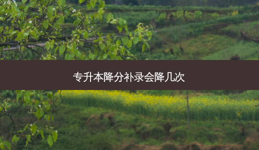 专升本降分补录会降几次-第1张图片-天智网 专升本降分补录会降几次-第1张图片-天智网