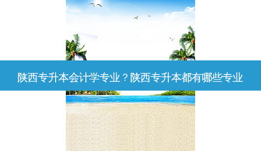 陕西专升本会计学专业?陕西专升本都有哪些专业-第1张图片-天智网 陕西专升本会计学专业?陕西专升本都有哪些专业-第1张图片-天智网