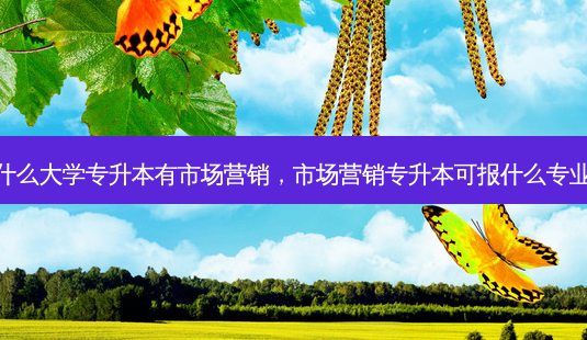 什么大学专升本有市场营销，市场营销专升本可报什么专业-第1张图片-汇成专升本网