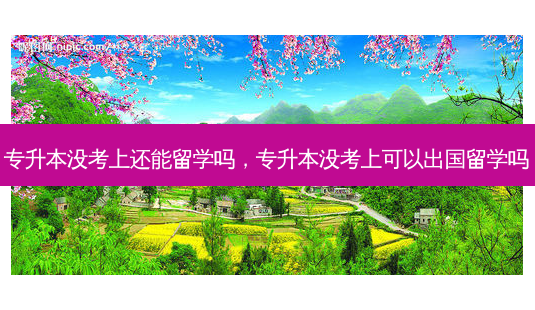 专升本没考上还能留学吗,专升本没考上可以出国留学吗-第1张图片-天智网 专升本没考上还能留学吗,专升本没考上可以出国留学吗-第1张图片-天智网