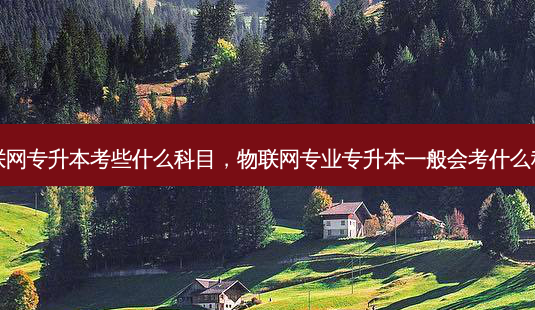 物联网专升本考些什么科目,物联网专业专升本一般会考什么科目-第1张图片-天智网 物联网专升本考些什么科目,物联网专业专升本一般会考什么科目-第1张图片-天智网