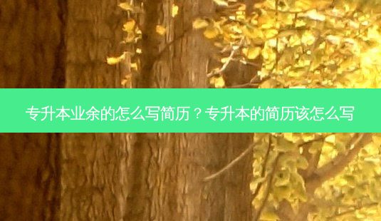 专升本业余的怎么写简历?专升本的简历该怎么写-第1张图片-天智网 专升本业余的怎么写简历?专升本的简历该怎么写-第1张图片-天智网