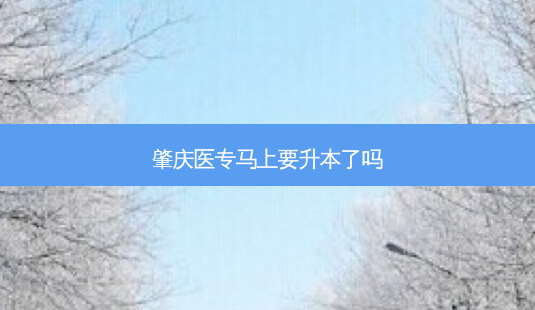 肇庆医专马上要升本了吗-第1张图片-天智网 肇庆医专马上要升本了吗-第1张图片-天智网