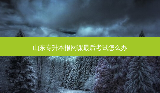 山东专升本报网课 *** 后考试怎么办-第1张图片-天智网 山东专升本报网课 *** 后考试怎么办-第1张图片-天智网