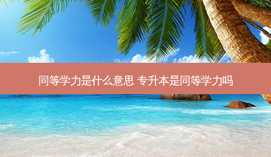 同等学力是什么意思 专升本是同等学力吗-第1张图片-天智网 同等学力是什么意思 专升本是同等学力吗-第1张图片-天智网